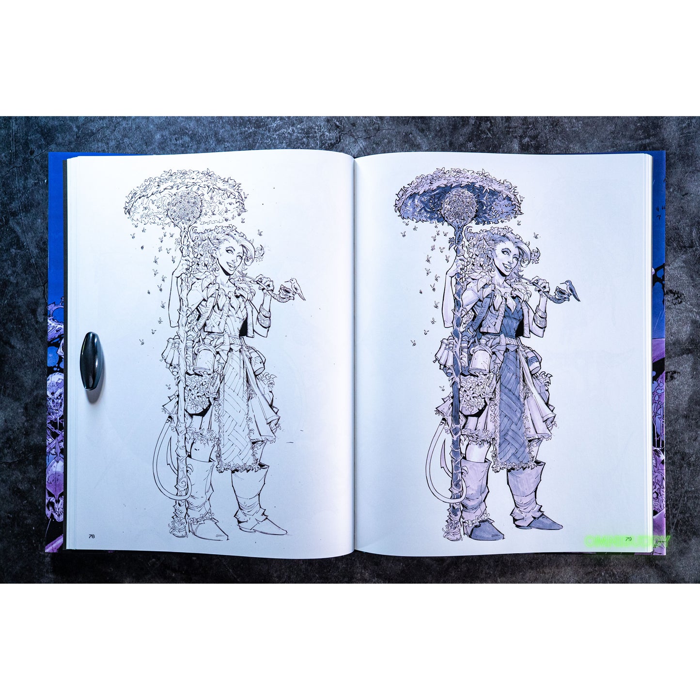 Fantasy Art By Max Dunbar PBC Exclusive & Signed